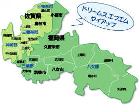 南版